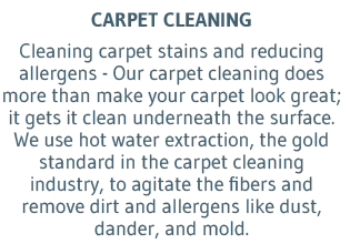 Carpet Cleaning